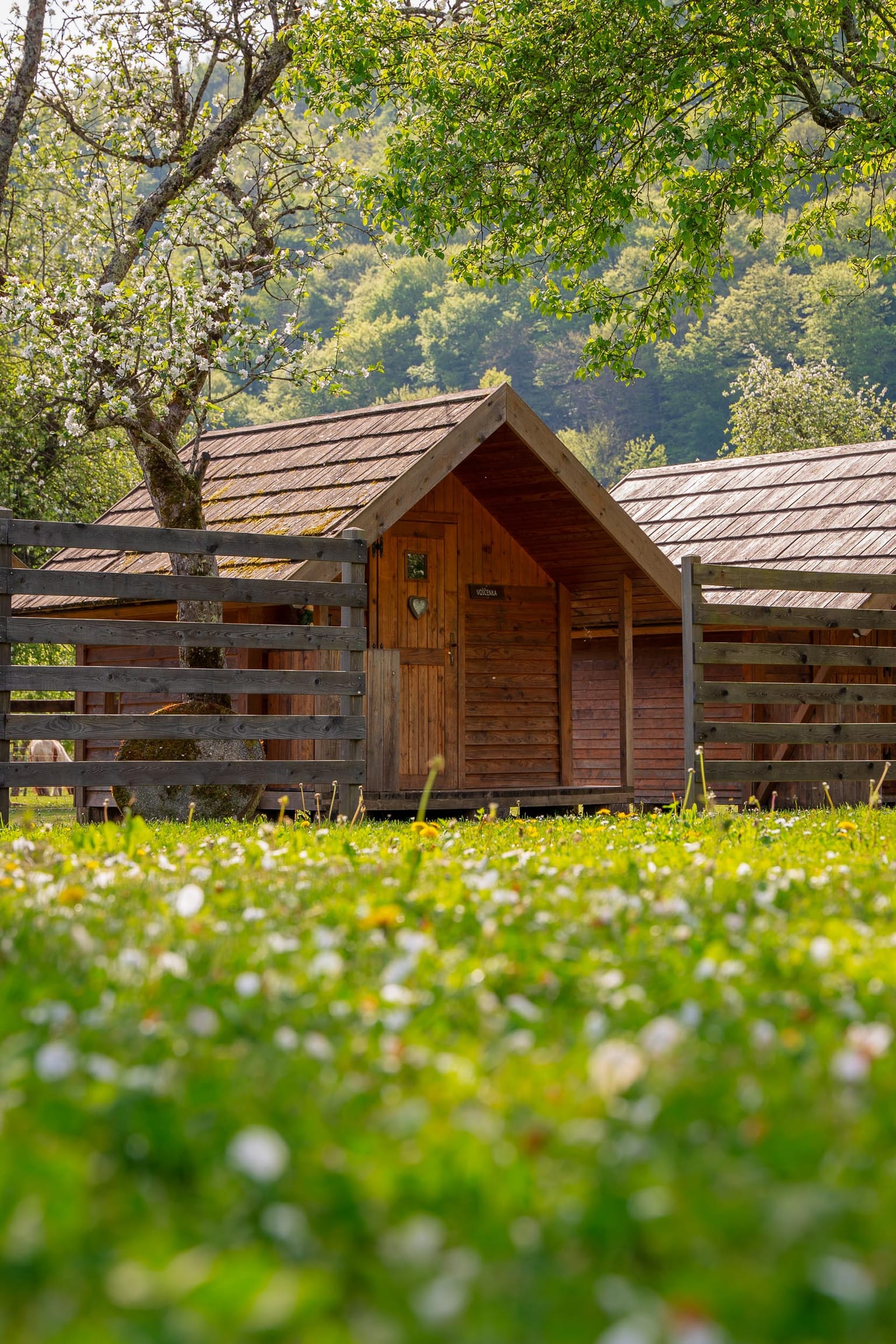 Photo 2 from Eko Kamp Rinčica