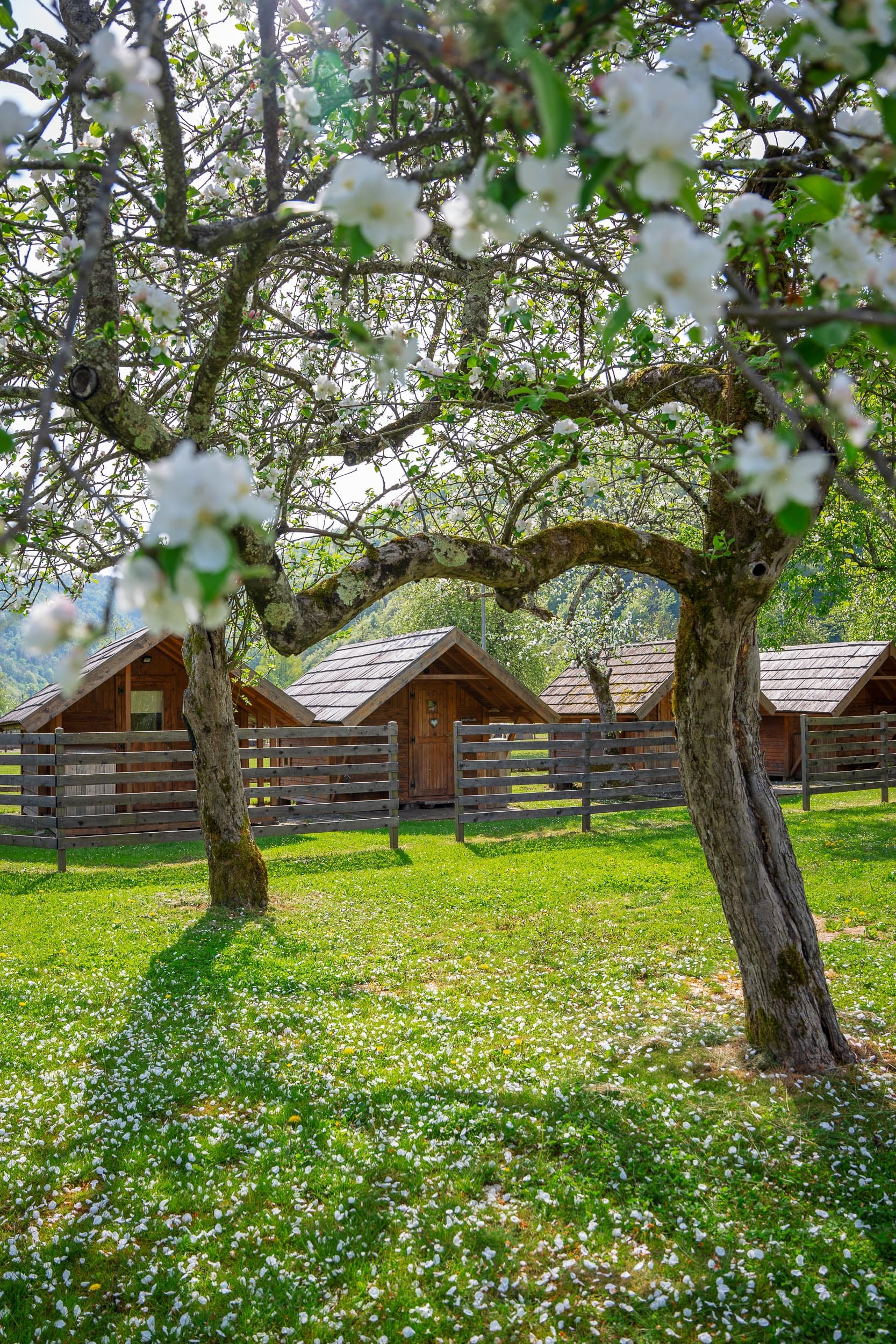 Eko Kamp Rinčica - Photo 3