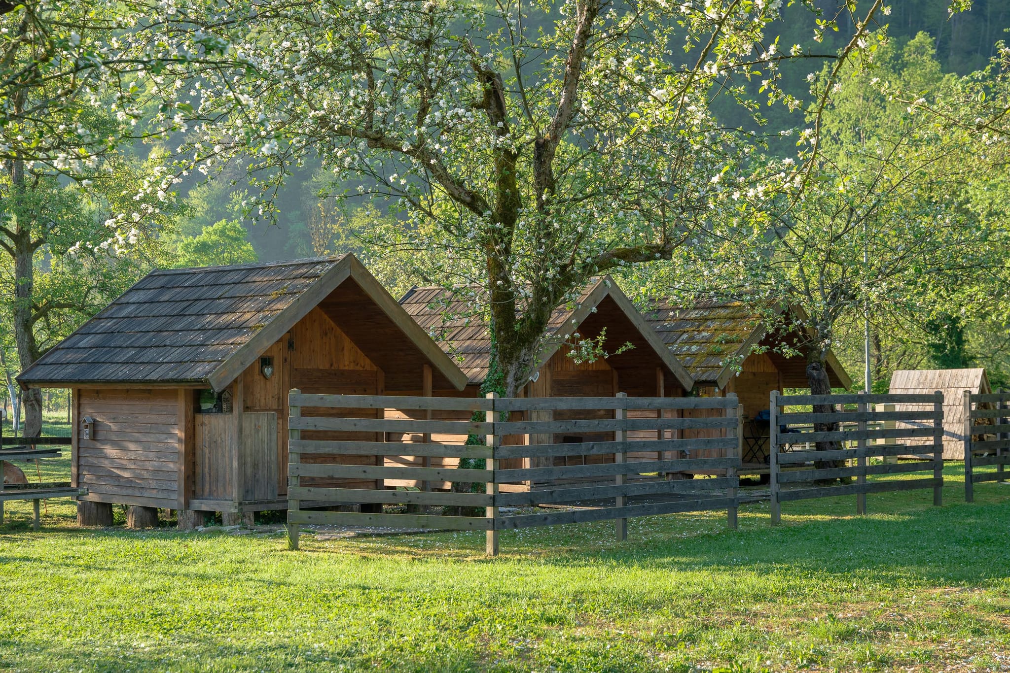 Eko Kamp Rinčica - Photo 10