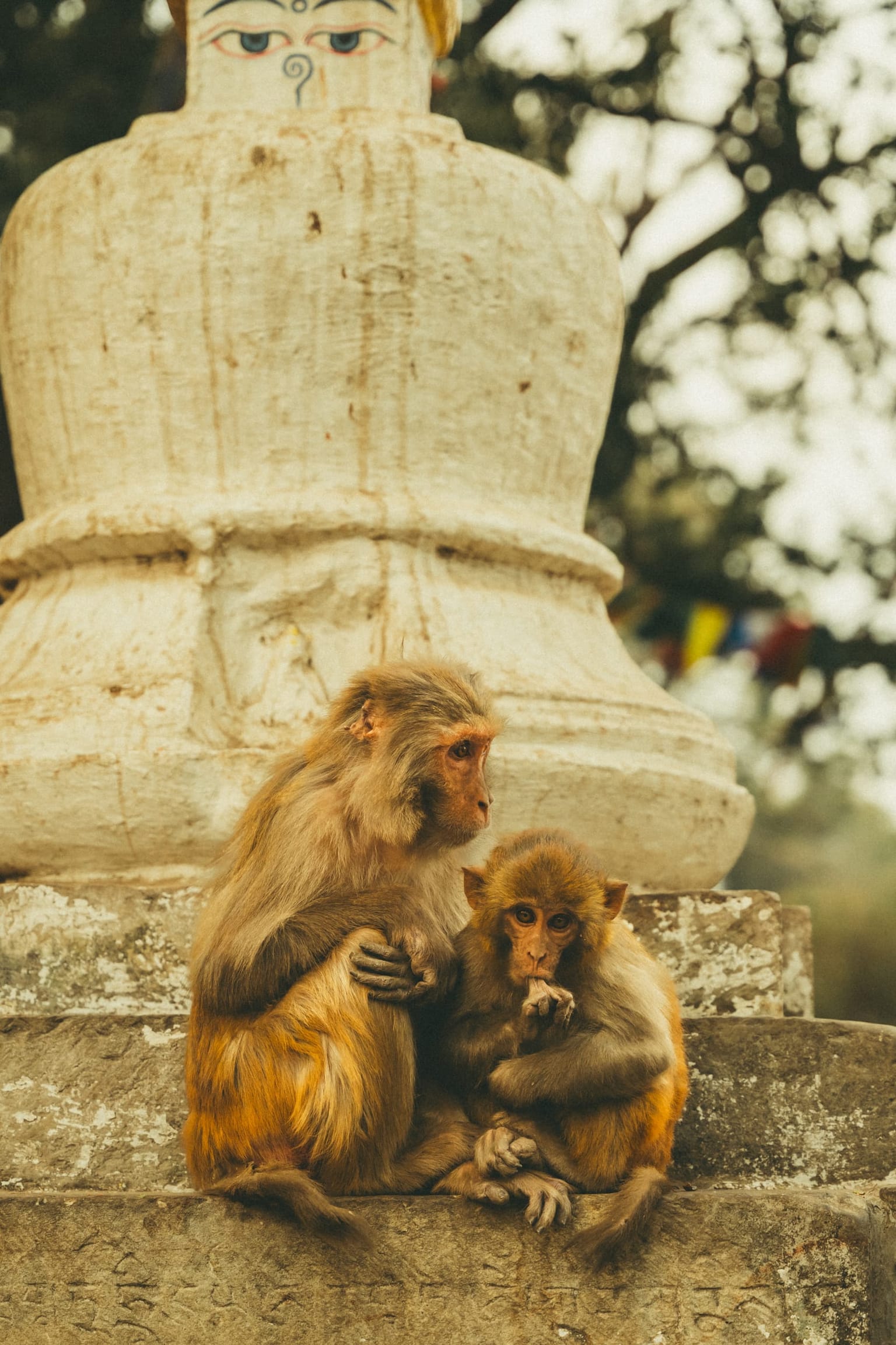 Photo 5 from Kathmandu
