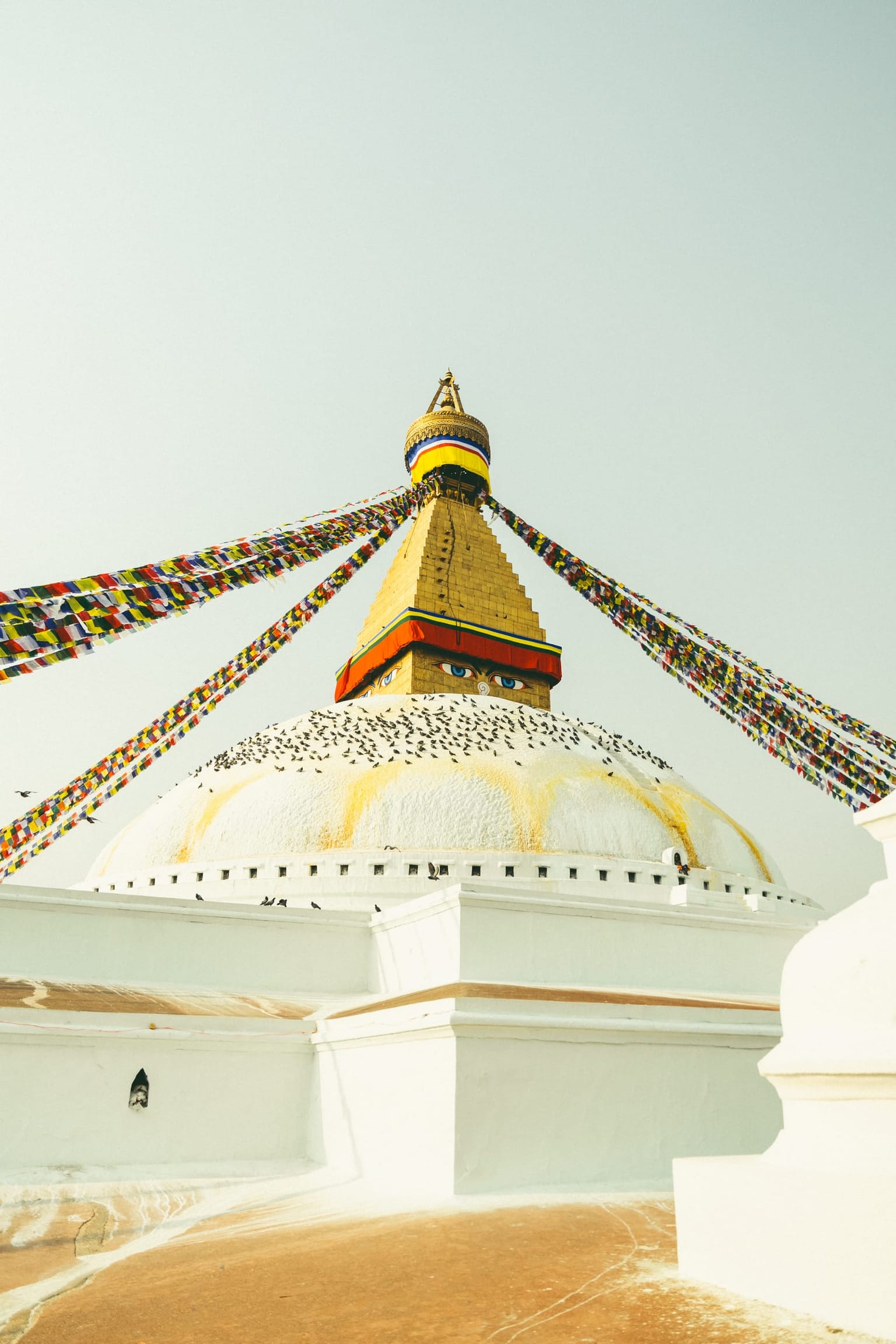 Photo 10 from Kathmandu