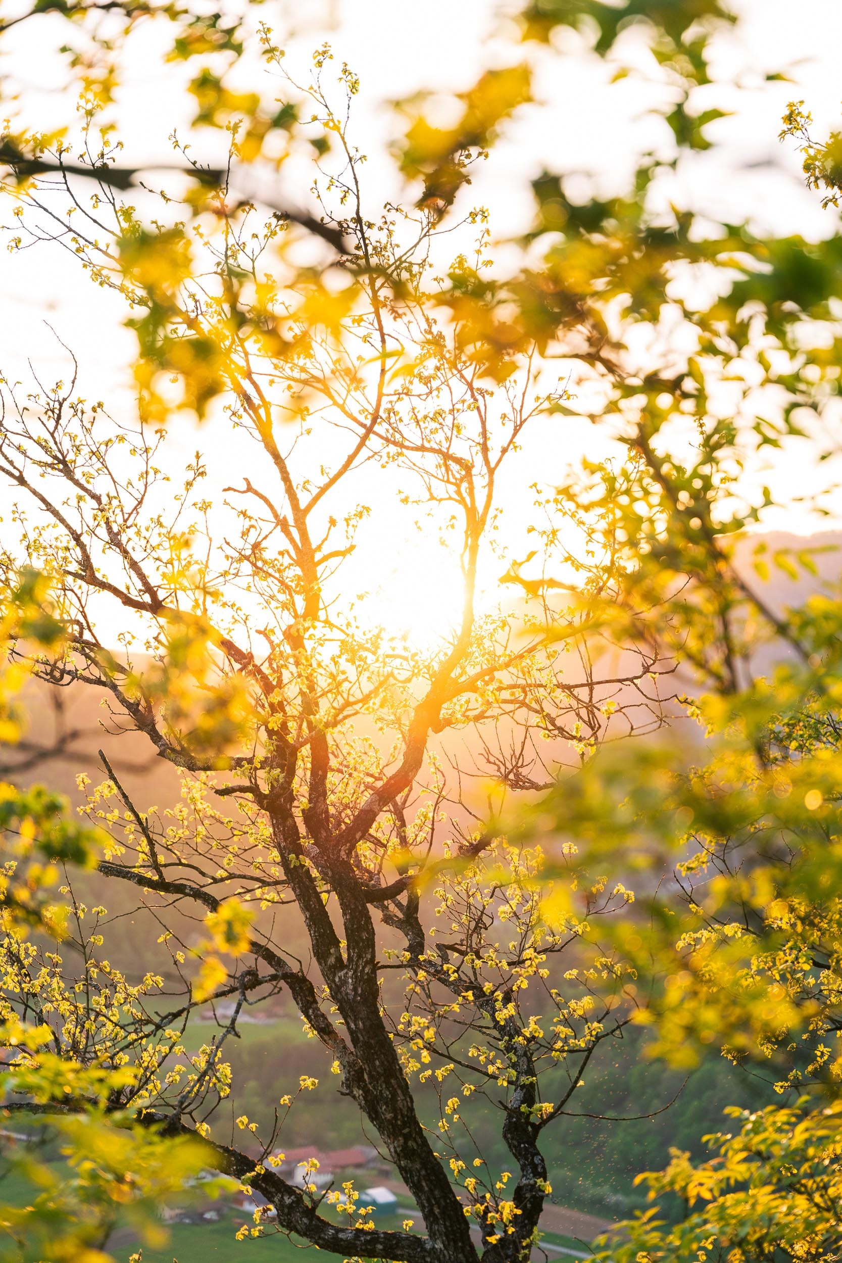 Sodevska Stena - Photo 8