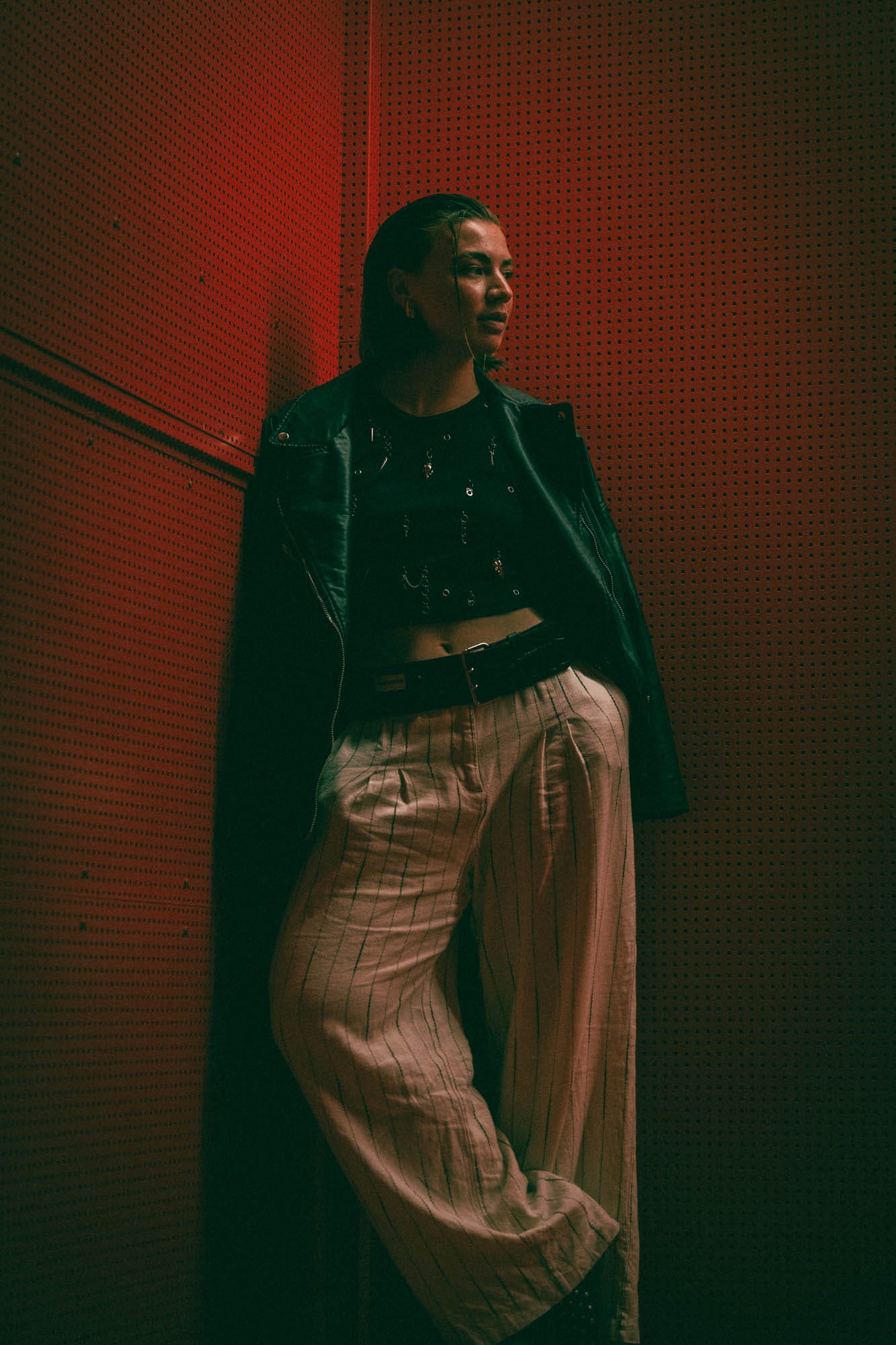 The Red Stairs - Photo 3