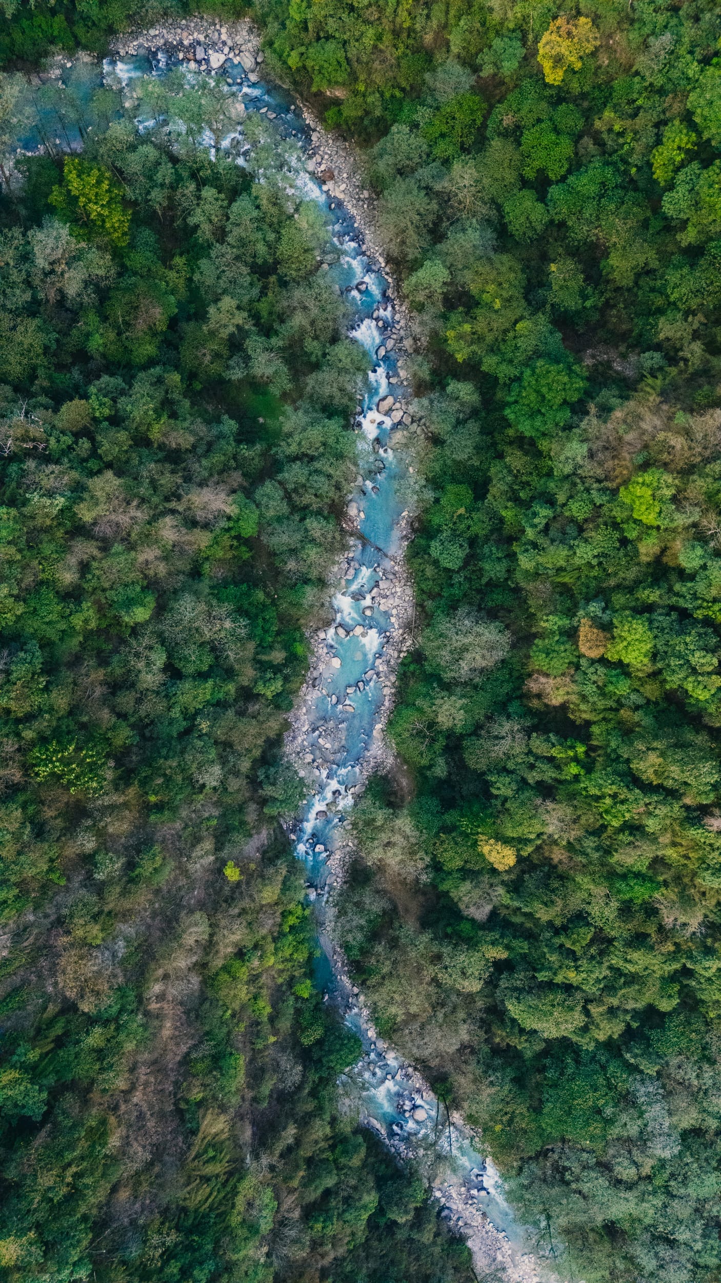 Photo 1 from Annapurna Base Camp