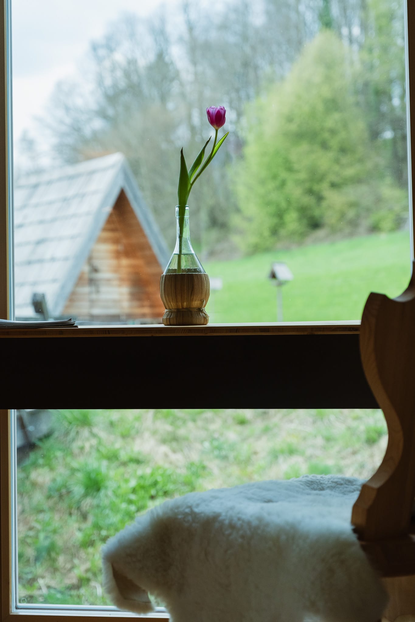 Photo 6 from Eko Glamping Krištof