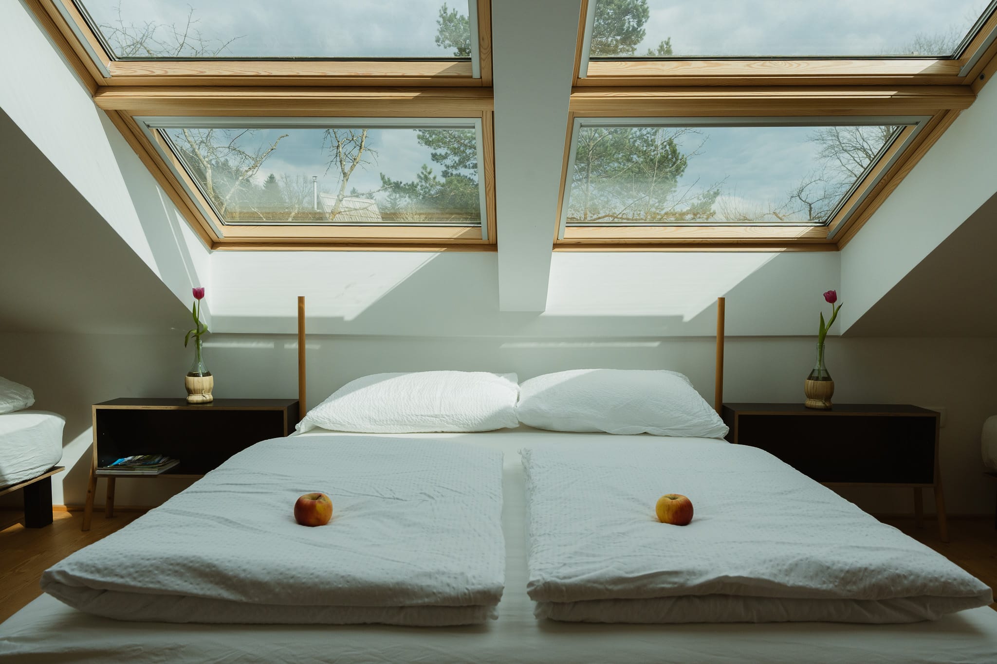 Eko Glamping Krištof - Photo 14