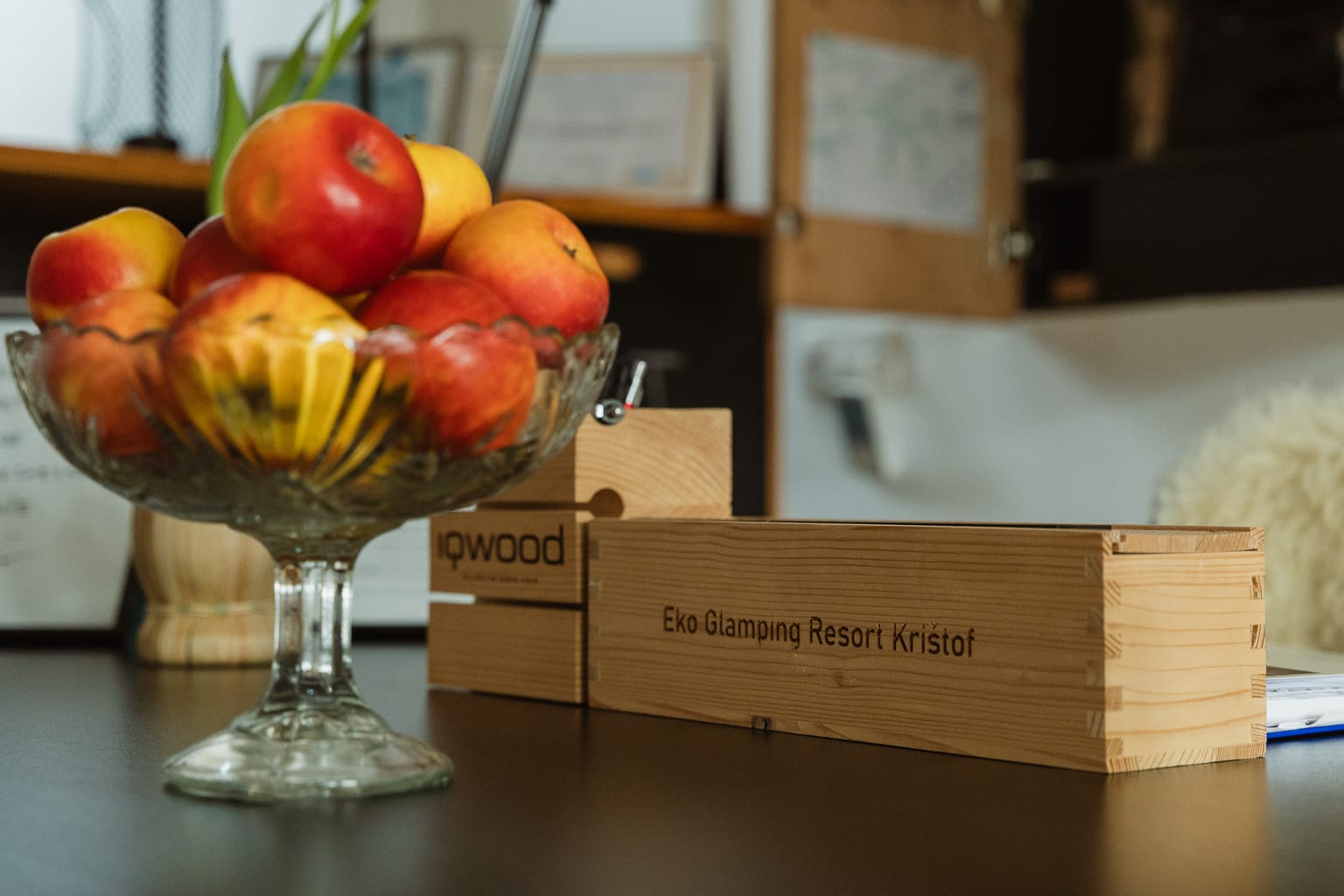 Photo 17 from Eko Glamping Krištof