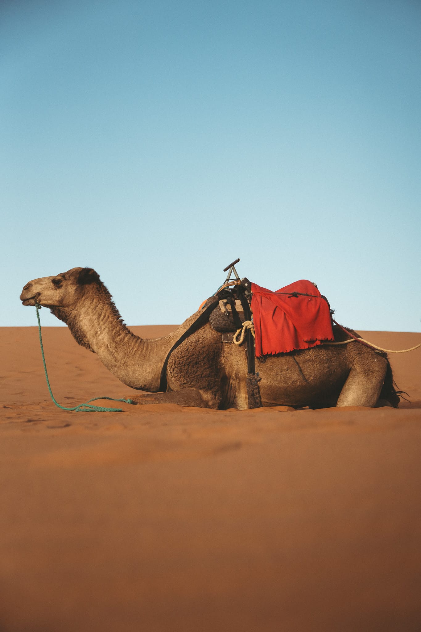 Photo 10 from Morocco