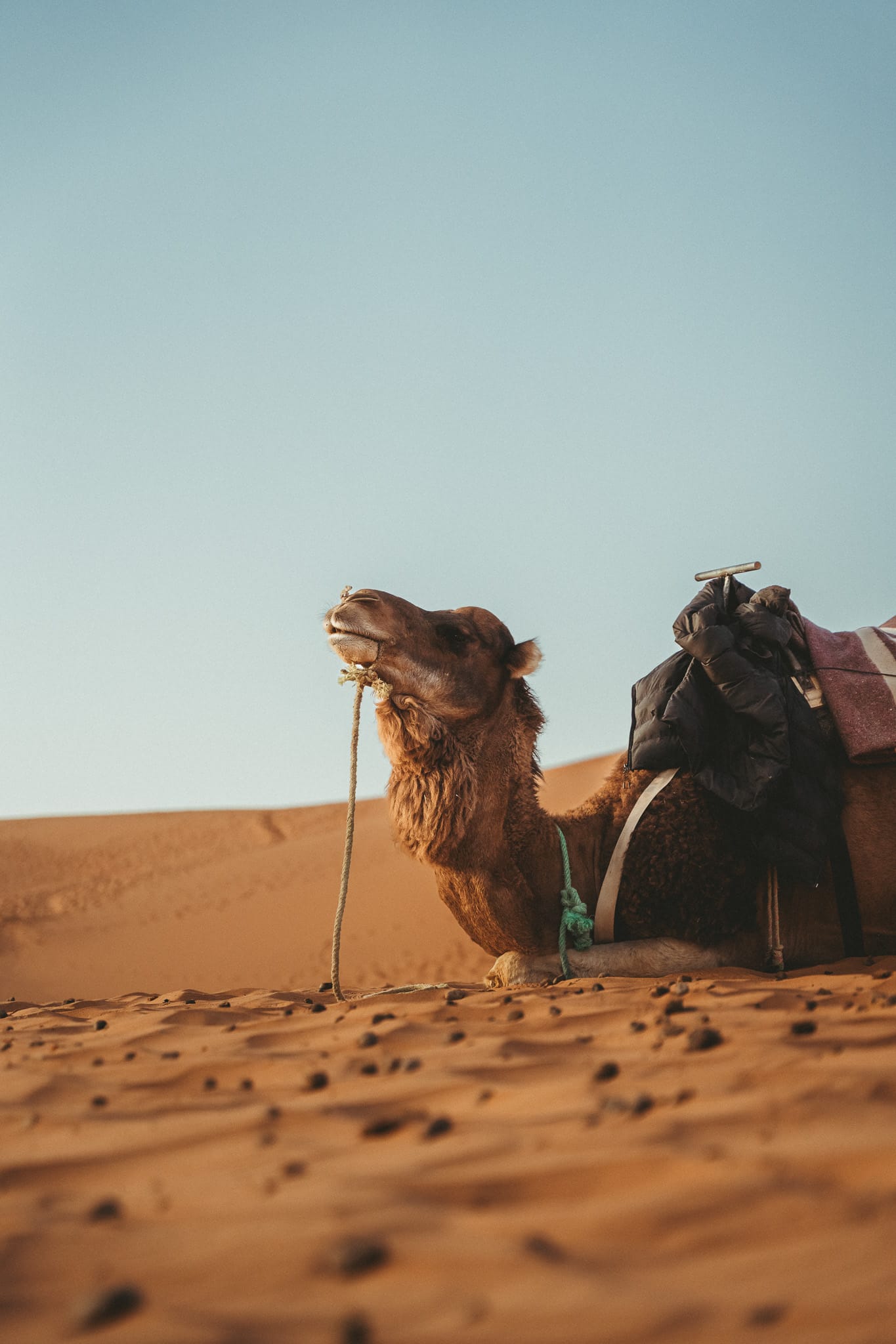 Photo 11 from Morocco