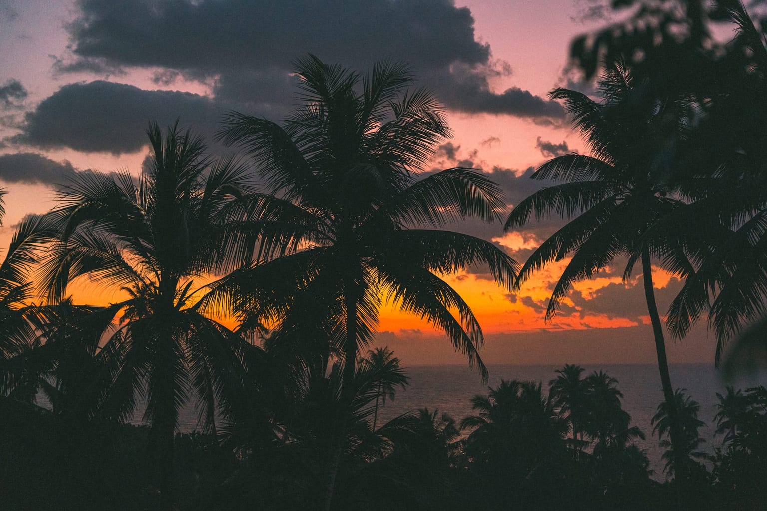 Photo 6 from Sri Lanka