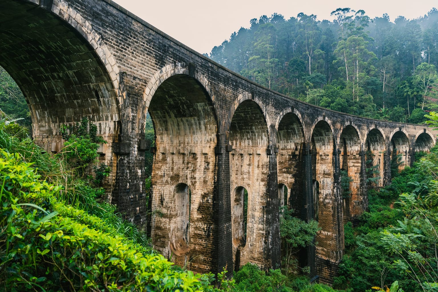 Photo 8 from Sri Lanka