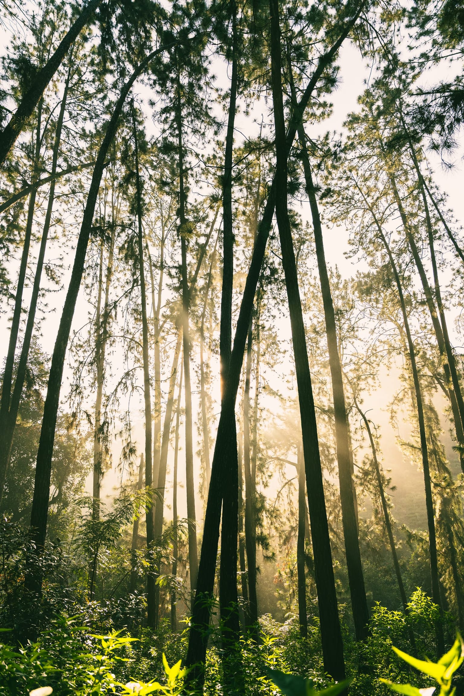 Photo 9 from Sri Lanka