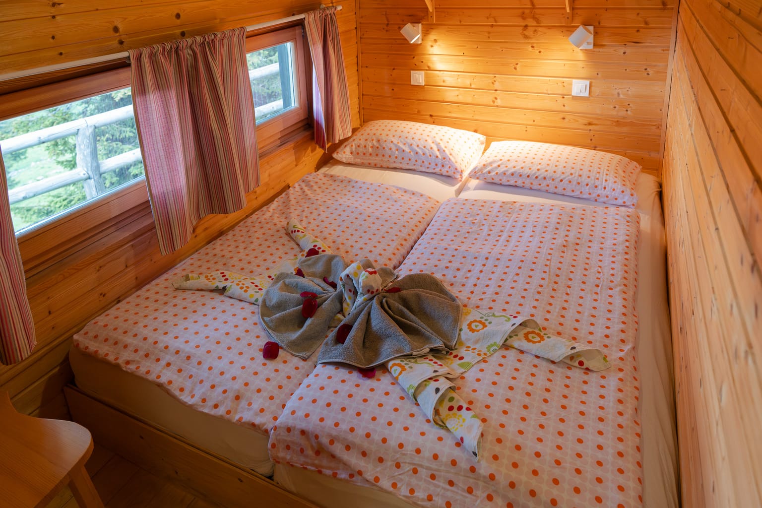 Photo 7 from Velika Planina Resort